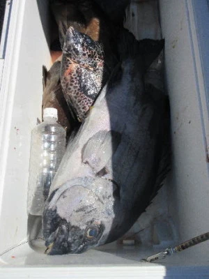 中山総合釣センター・海遊の2023年9月24日(日)2枚目の写真