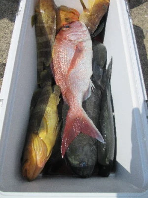 中山総合釣センター・海遊の2023年9月27日(水)2枚目の写真