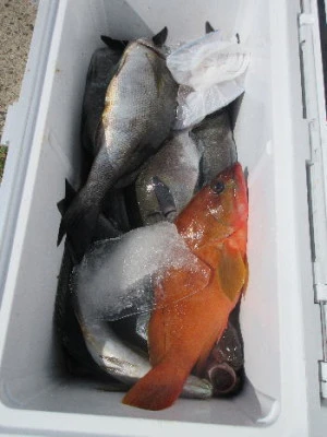 中山総合釣センター・海遊の2023年9月27日(水)4枚目の写真