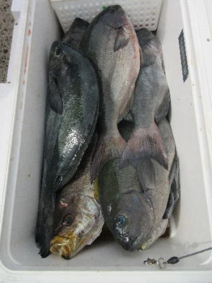 中山総合釣センター・海遊の2023年10月1日(日)5枚目の写真