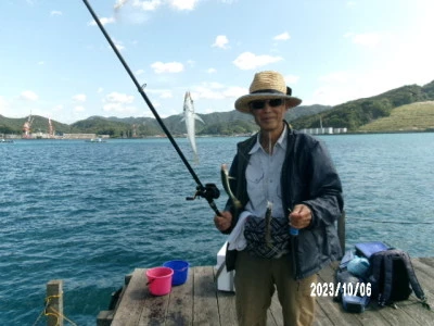 由良海つり公園&釣堀ランドの2023年10月6日(金)1枚目の写真