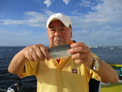 打木屋釣船店の2023年9月27日(水)5枚目の写真
