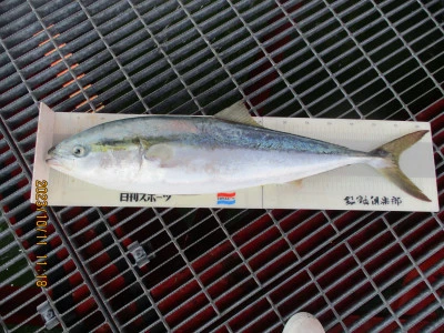 尼崎市立魚つり公園の2023年10月11日(水)2枚目の写真