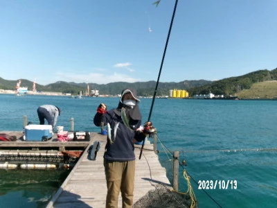由良海つり公園&釣堀ランドの2023年10月13日(金)2枚目の写真