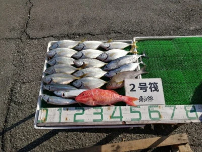 三重外湾漁協 錦事業所直営 釣り筏の2023年10月15日(日)1枚目の写真