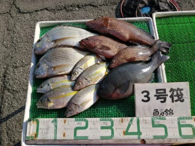 三重外湾漁協 錦事業所直営 釣り筏の2023年10月15日(日)2枚目の写真