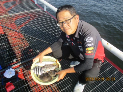 尼崎市立魚つり公園の2023年10月19日(木)1枚目の写真