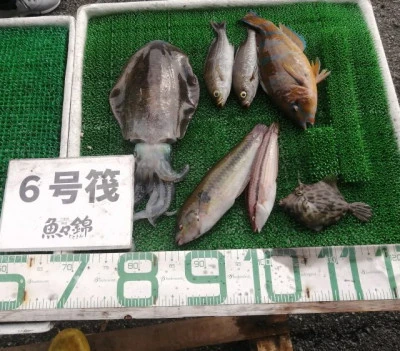 三重外湾漁協 錦事業所直営 釣り筏の2023年10月20日(金)1枚目の写真