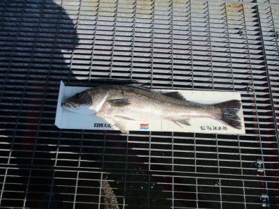 尼崎市立魚つり公園の2023年10月25日(水)2枚目の写真