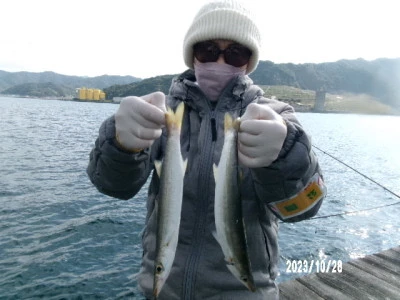 由良海つり公園&釣堀ランドの2023年10月28日(土)3枚目の写真