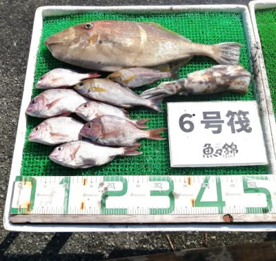 三重外湾漁協 錦事業所直営 釣り筏の2023年10月25日(水)1枚目の写真