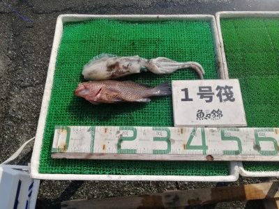 三重外湾漁協 錦事業所直営 釣り筏の2023年10月27日(金)1枚目の写真