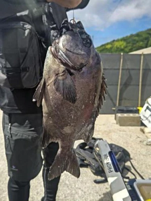 浜吉丸の2023年6月28日(水)4枚目の写真