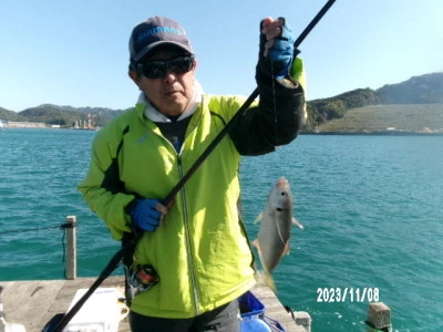 由良海つり公園&釣堀ランドの2023年11月8日(水)3枚目の写真