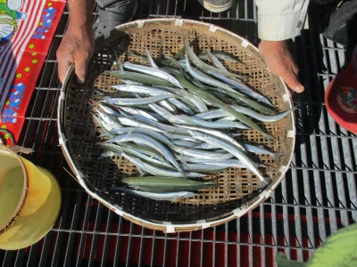 尼崎市立魚つり公園の2023年11月8日(水)1枚目の写真