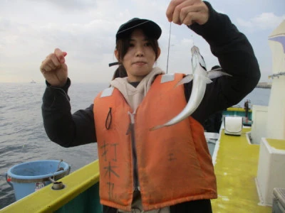 打木屋釣船店の2023年11月10日(金)2枚目の写真
