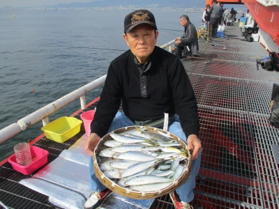 尼崎市立魚つり公園の2023年11月15日(水)2枚目の写真