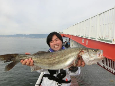 尼崎市立魚つり公園の2023年11月16日(木)1枚目の写真