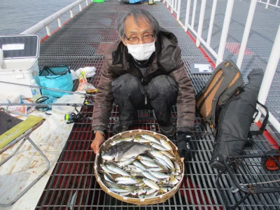 尼崎市立魚つり公園の2023年11月16日(木)2枚目の写真