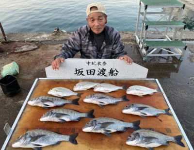 坂田渡船の2023年11月1日(水)1枚目の写真