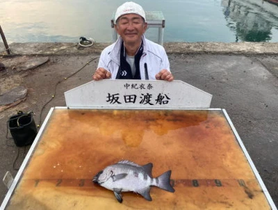 坂田渡船の2023年11月4日(土)1枚目の写真