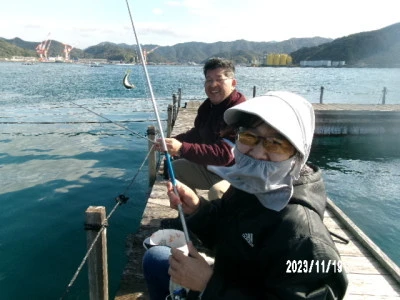 由良海つり公園&釣堀ランドの2023年11月19日(日)3枚目の写真