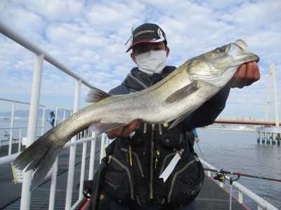 尼崎市立魚つり公園の2023年11月26日(日)3枚目の写真