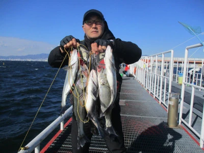 尼崎市立魚つり公園の2023年12月1日(金)1枚目の写真
