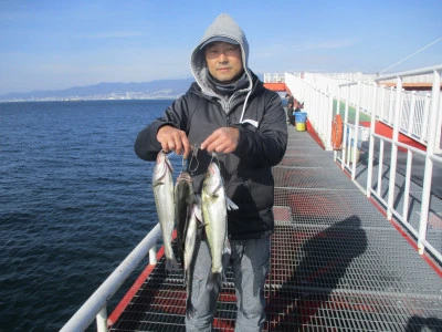 尼崎市立魚つり公園の2023年12月11日(月)1枚目の写真