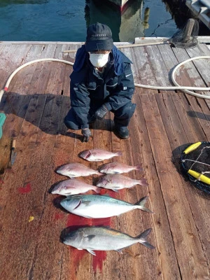 海上つり掘和光の2023年11月29日(水)2枚目の写真