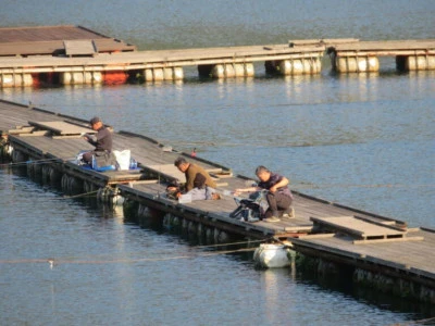 長谷大池釣り池センターの2023年11月2日(木)1枚目の写真