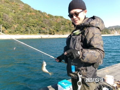 由良海つり公園&釣堀ランドの2023年12月13日(水)1枚目の写真