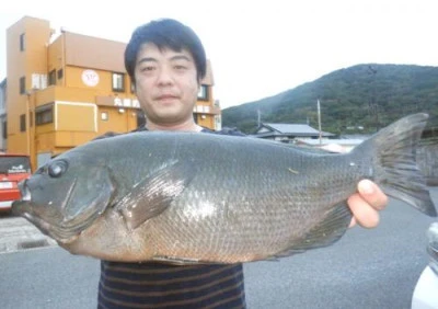 丸銀釣りセンターの2023年11月4日(土)2枚目の写真