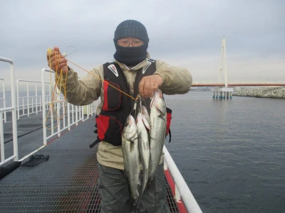 尼崎市立魚つり公園の2023年12月15日(金)1枚目の写真