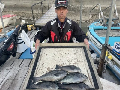 海の都 勢力丸の2023年11月14日(火)4枚目の写真