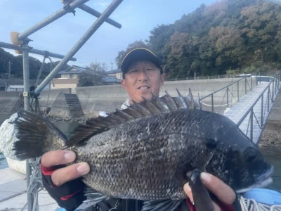 海の都 勢力丸の2023年12月4日(月)1枚目の写真