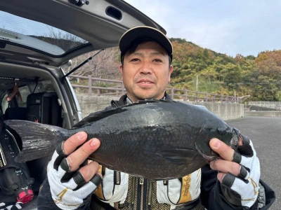 瀬渡し 磯の2023年12月6日(水)1枚目の写真