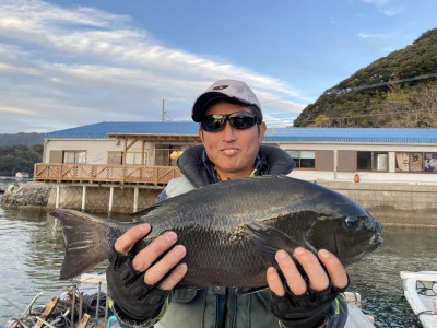 真珠・山本釣り筏の2023年12月9日(土)1枚目の写真