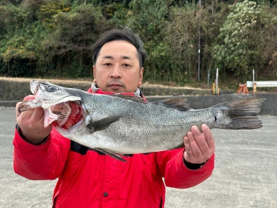 渡船民宿倉の下の2023年12月20日(水)1枚目の写真