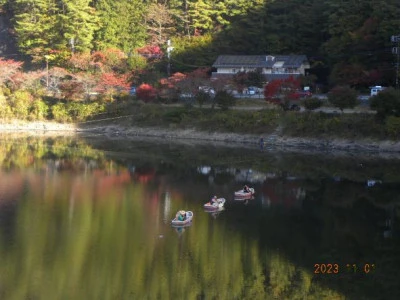 湖畔荘の2023年11月1日(水)1枚目の写真