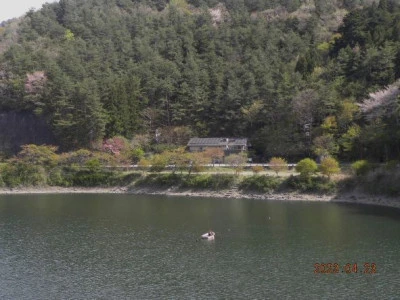 湖畔荘の2023年4月23日(日)1枚目の写真