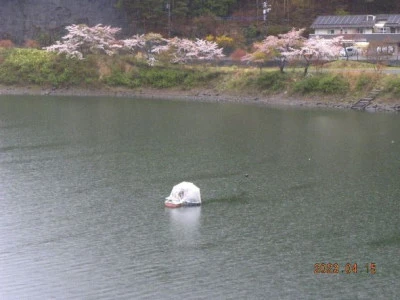 湖畔荘の2023年4月15日(土)2枚目の写真