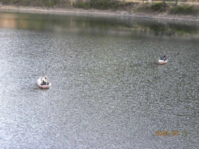 湖畔荘の2023年4月11日(火)3枚目の写真