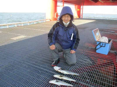 尼崎市立魚つり公園の2023年12月23日(土)2枚目の写真
