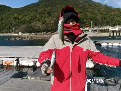 由良海つり公園&釣堀ランドの2023年12月24日(日)1枚目の写真