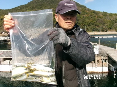 由良海つり公園&釣堀ランドの2023年12月25日(月)1枚目の写真