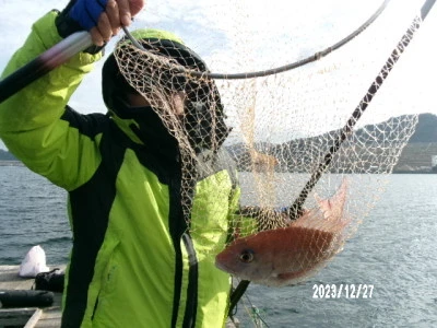 由良海つり公園&釣堀ランドの2023年12月27日(水)1枚目の写真