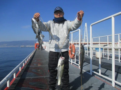尼崎市立魚つり公園の2023年12月28日(木)2枚目の写真