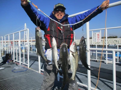 尼崎市立魚つり公園の2024年1月5日(金)1枚目の写真