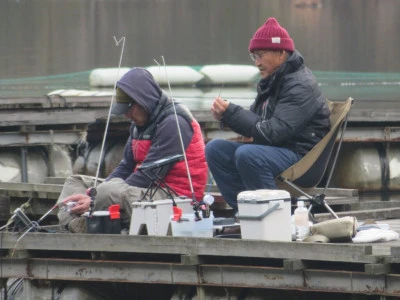 長谷大池釣り池センターの2024年1月6日(土)4枚目の写真